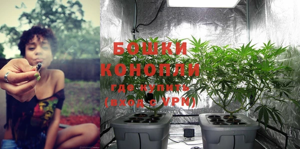 спиды Горняк