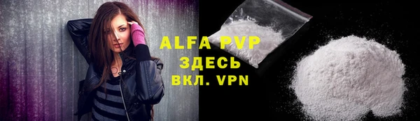 спиды Горняк