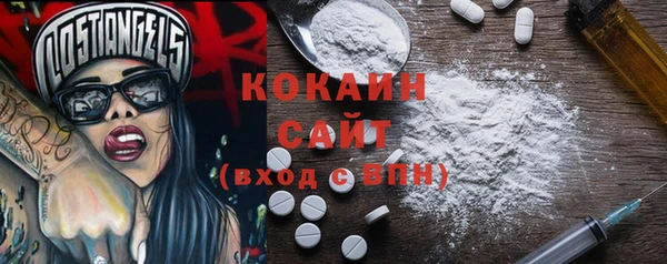 спиды Горняк