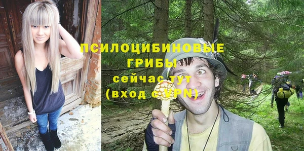 спиды Горняк