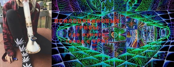 спиды Горняк
