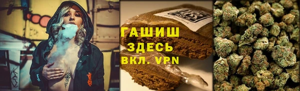 спиды Горняк