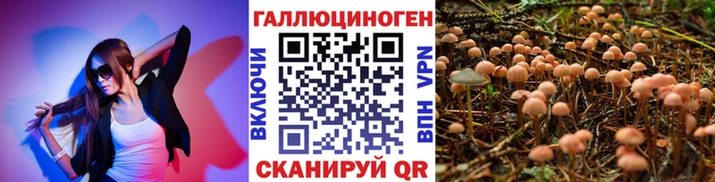 Галлюциногенные грибы Psilocybe  ссылка на мегу ONION  Зеленокумск 